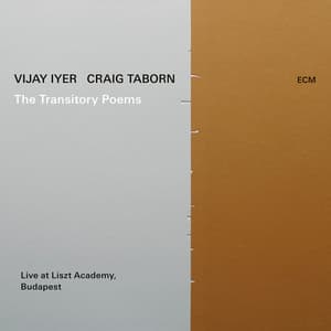 The Transitory Poems - Vijay Iyer