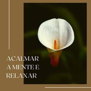 Acalmar a Mente e Relaxar: Música de Meditação para Ansiedade e Dormir - Ansiedade Tratamento