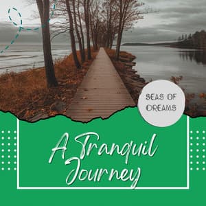 Harmony by the Horizon: A Tranquil Journey - Seas of Dreams