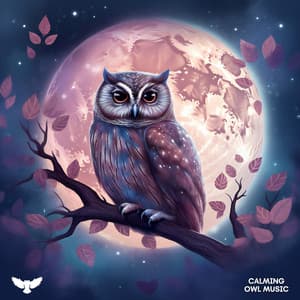 Galactic Lullabies - Ambient Owl Music
