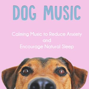 Dog Music: Calming Music to Reduce Anxiety and Encourage Natural Sleep - Dog Music Zone