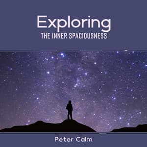 Exploring the Inner Spaciousness - Peter Calm