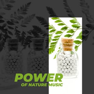 Power of Nature Music - Connect with Nature, Music of Nature's Medicine - Feel Better Unit