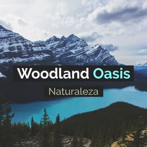 Woodland Oasis - Naturaleza