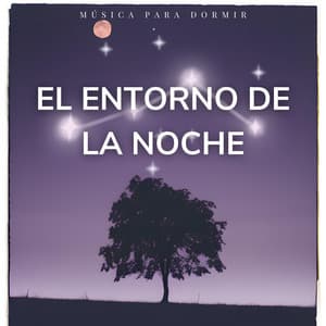 El Entorno de la Noche: Música para Dormir - Musica de Relajacion Espace