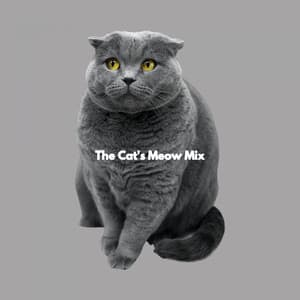 The Cat's Meow Mix - Relaxation Channel