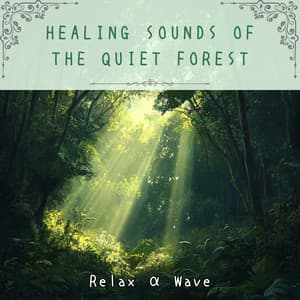 Healing Sounds of the Quiet Forest - Relax α Wave