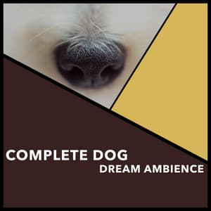 Complete Dog Dream Ambience - Dogs Music Therapy