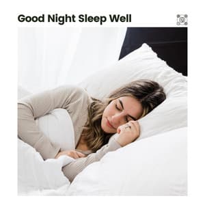 Good Night Sleep Well - The Sleep Principle