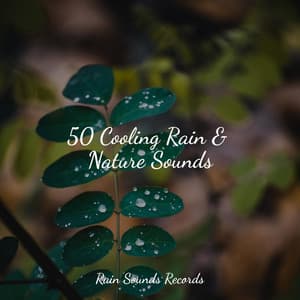 50 Cooling Rain & Nature Sounds - Yoga Sounds
