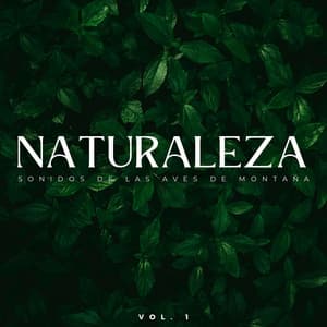 Naturaleza: Sonidos De Las Aves De Montaña Vol. 1 - Hipnosis Naturaleza Sonidos Universo