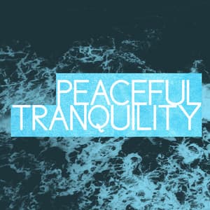 Peaceful Tranquility - Zen Meditate