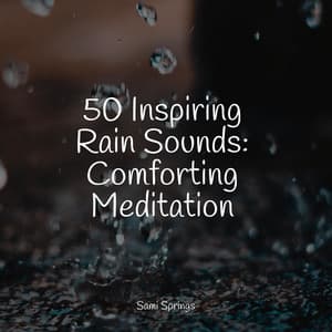 50 Inspiring Rain Sounds: Comforting Meditation - Rest & Relax Nature Sounds