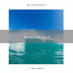 ! ! ! ! ! ! Sleepy Sea vol. 2 - Seashore Waves