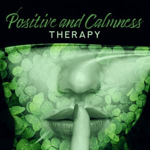 Positive and Calmness Therapy : Safe Place, New Age Soothing Tones, Relaxation While Studying - Study New Age Counter Display