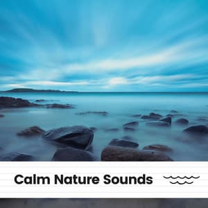 Calm Nature Sounds - Sounds of Nature Noise