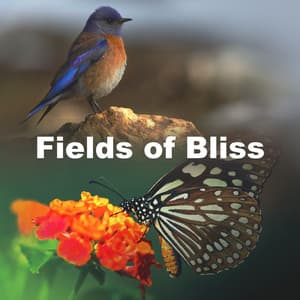Fields of Bliss - Outdoor Field Recorders