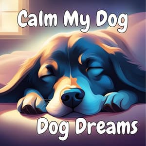 Calm My Dog - Dog Dreams