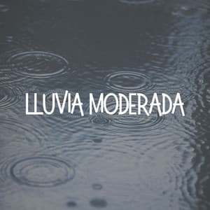 Lluvia Moderada - Lluvia Relajante