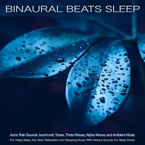 Binaural Beats Sleep: Asmr Rain Sounds, Isochronic Tones, Theta Waves, Alpha Waves and Ambient Music For Deep Sleep Aid, Rest, Relaxation and Sleeping Music With Nature Sounds for Sleep Music - Binaural Beats Sleep