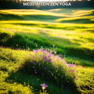 Meditation Zen Yoga No. 3 - Meditation