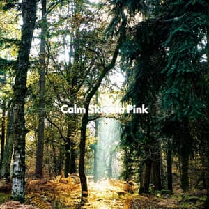 Calm Skies in Pink - Cleaning Music Play List