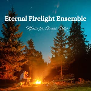 Eternal Firelight Ensemble: Music for Stress Relief - Bubbled White Noise Fire Sounds