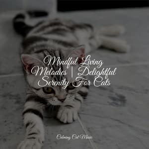 Mindful Living Melodies | Delightful Serenity For Cats - Pet Care Music Therapy