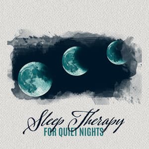 Sleep Therapy for Quiet Nights - Prepare Your Mind for Sleep - Sleep New Age Master
