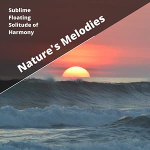 Sublime Floating Solitude of Harmony - Nature's Melodies