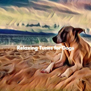 Relaxing Tunes for Dogs - Chilled Jazz Cafe BGM Channel
