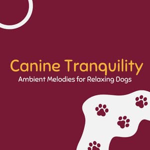 Canine Tranquility: Ambient Melodies for Relaxing Dogs - Harmonious Dog Relaxation