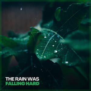 The Rain Was Falling Hard - Always Raining