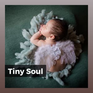 Tiny Soul - Baby Sleep Through the Night
