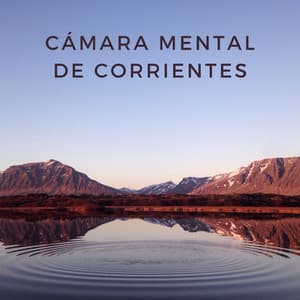 Cámara Mental De Corrientes - Aguas del diluvio