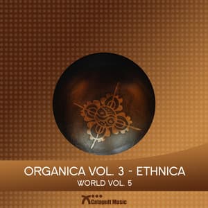 Organica Vol 3 - Ethnica - Martin Haene