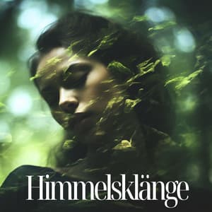 Himmelsklänge: Einklang der Elemente - Tiefenentspannung Akademie