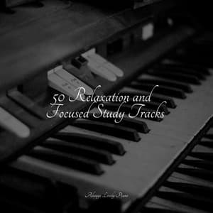 Soft Piano Melodies for the Soul - Piano Pianissimo