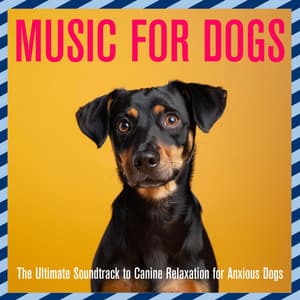 Music for Dogs: The Ultimate Soundtrack to Canine Relaxation for Anxious Dogs - Relaxmydog