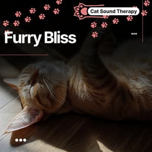 Cat Sound Therapy: Furry Bliss, Haven for Relaxation - Cat & Calm