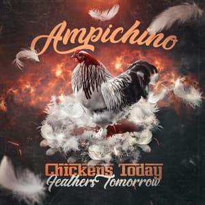 Chickens Today, Feathers Tomorrow - Ampichino