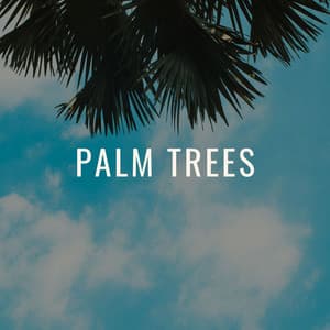 Palm Trees - Yoga Tribe
