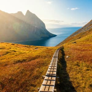 Serene Escapes: Relaxation Music - Relaxing Music Playlist Gold