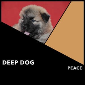 Deep Dog Peace - Dogs Music Therapy