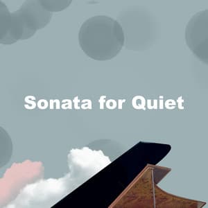 Sonata for Quiet - Relaxing Classical