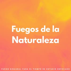 Fuegos De La Naturaleza: Fuego Binaural Para El Tiempo De Estudio Enfocado - Fuego definitivo