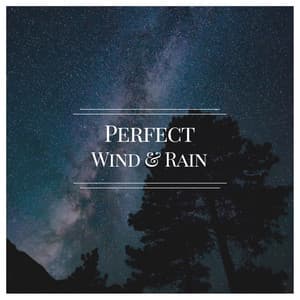 Perfect Wind & Rain - The Sound Reserve