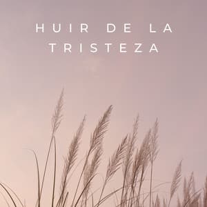 Huir De La Tristeza - LUIS RADIO