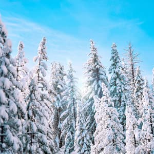 50 White Noise For Nightime: Deep Rest - White Noise for Babies