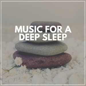 Music for a Deep Sleep - Japanese Zen Shakuhachi
